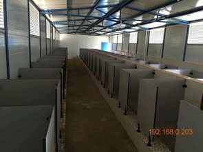 甘肅蘭州與青海地區廁所隔斷市場概覽及技術咨詢指南