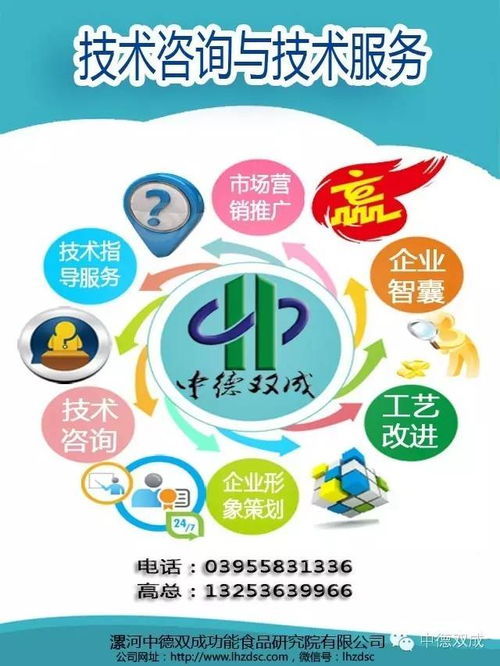 技術咨詢與辦公服務 現代企業的高效雙翼